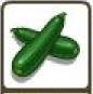 Zucchini