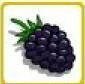 Super Black Berry