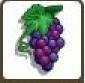 Grape