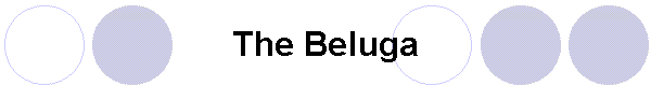 The Beluga