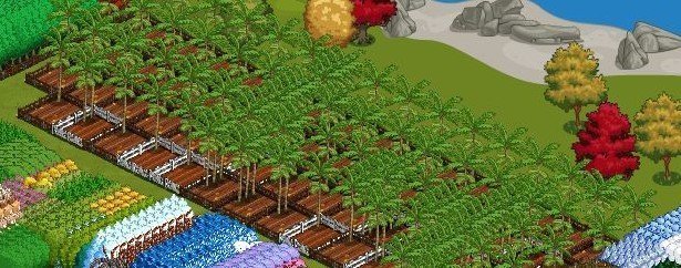 seedling farm