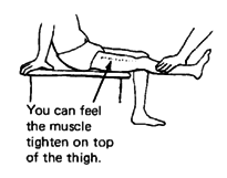 Knee - straighten.