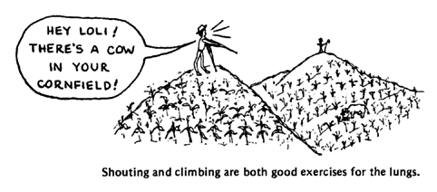 Shouting and climbing are both good exercises for the lungs.