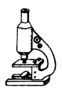 A microscope.