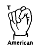 T -American