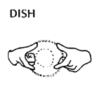 DISH