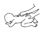 Press firmly on the muscles on each side of the backbone and slowly bring your hand from her neck toward her hips.
