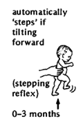 0-3 months (stepping reflex)