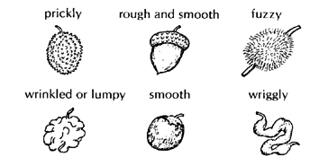 You can make beads and chains out of wild fruits and nuts (prickly, rough and smooth, fuzzy, wrinkled or lumpy, smooth, wriggly)