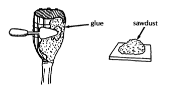 Cover the outside of the socket with several layers of glue, sawdust, and gauze bandage.