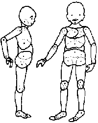 The FLEXIKIN: front view and side view.