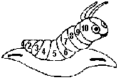 A puzzle of a caterpiller, the segments of whose body were numbered from 1 to 10.