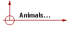 Animals...